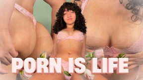 Porn Is Life