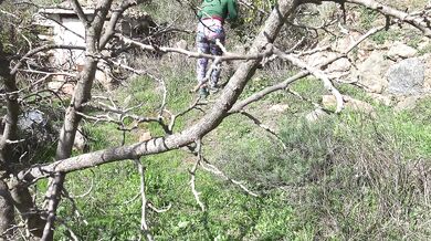 Hairy Amateur Wife Caught A Perverted Man Flashing His Dick