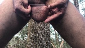 Freckled Bull Balls (Pt.2) (4K)