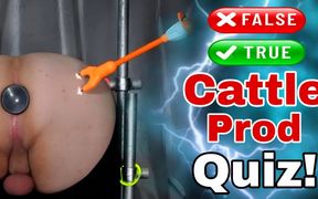 True or False Cattle Prod Quiz with My Femdom Slave