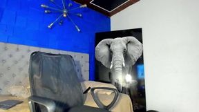 Tobias Vega Party on Sep 23, 2025