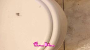Revolting Toilet Ripoff