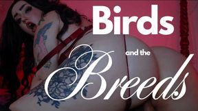 Birds and the Breeds - Step-Mommy