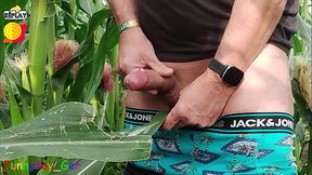 Dirty jerking off my big cob in the cornfield, showing my asshole and squirting cream on a leaf.