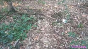 i found a surprise on the trail .