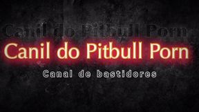 flaga ao vivo no reality do canil do pitbull porn
