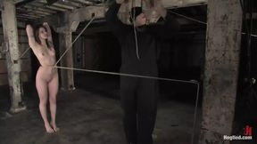Bobbi Starr - Hogtied