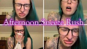 Afternoon Sneeze Rush *mp4*