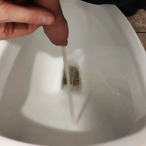 Piss and U Clean My Penis by WC in the Mall