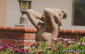 Two shemales and babe fucking in threesome