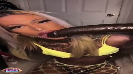 Trans Compilation