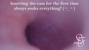 fisrt ever pov comshot from inside the prostate