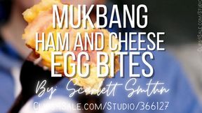 Mukbang Ham and Cheese Egg Bites