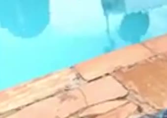 Transex_com_deliciagatalinda