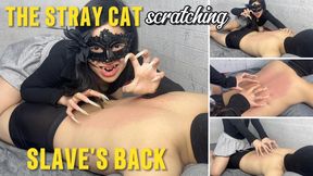 The Wild Cat Frantically Scratched The Slave's Back | LINH'S LONG NAIL | CRAZY ABOUT LONG AND NATURAL NAILS