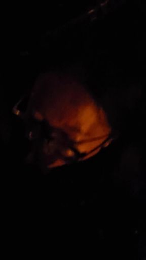 Blowjob in the Street