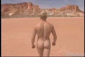 Absolute Arid