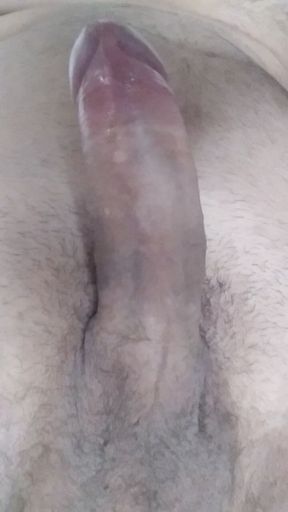 My dick coming out honey come lick