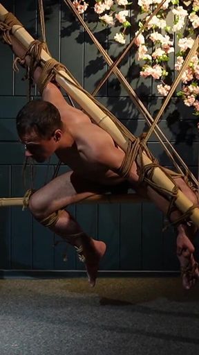 Beautiful Zeus Bound in Jute Shibari Elegance to Powerless Predicament Strain