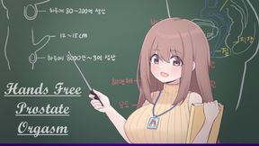 School: How To Have A Prostate Orgasm [full Version]