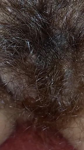 Hairy Pussy Shorts