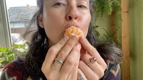 swallow whole slices m4