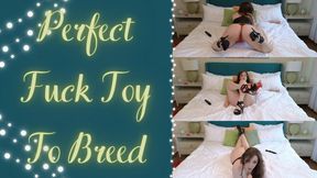 Perfect Fuck Toy To Breed (1080 WMV)