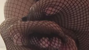 Little Tail Tease ?