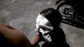 profissional do sexo anal na rua por 30 reias