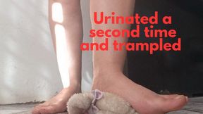 Urinated a second time and trampled