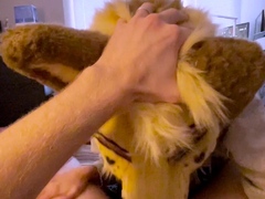 Pov amateur blowjob action