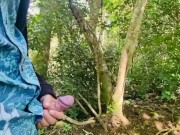Guided Rainforest Hike With Mr.Grandecito