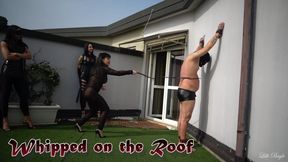 LILLI BAYLE, LILY DUPONT & GAIA - WHIPPED ON THE ROOF