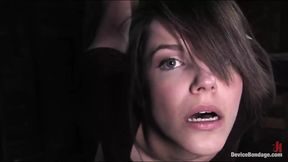 If the Shoe Fits - Bobbi Starr