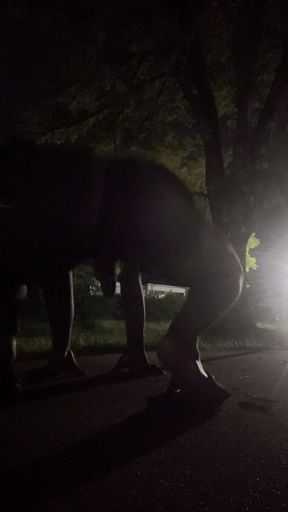 Fooling Around At Night Outside On The Sidewalk Fully Naked Part 4