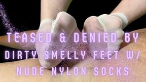 Teased and Denied by Dirty Smelly Feet w Nude Nylon Socks