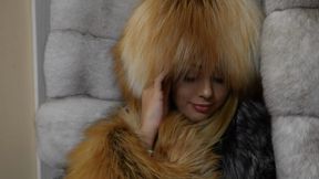 Pleasure in Silver-Red fox