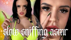 Slow Sniffing ASMR: Whispering Mental Domination Femdom POV Ft Miss Roper