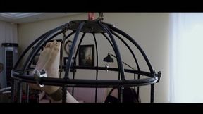 YT2880 The Whole Afternoon in the Cage
