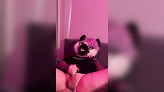 Queer kitten have fun