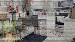 Locked in a Cage and Teased