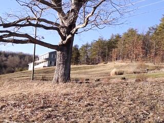 Don Whoe breaks Hawt Whore Hotty Love