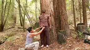 Bi Stud Bound And Edged In The Forrest