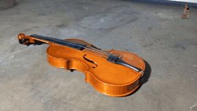 Violin crush