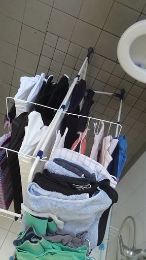 Video Examination of the Neck Holder for Ass
