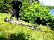 orca predator subdues his enemy outside