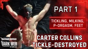 Pornstar Carter Collins Tickle-Destroyed On The Bed (Part 1)