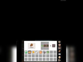 Mincraft mobs get fucked