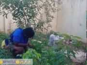 African gardener AKIILISA checking out the fruits of the season/lover's Tshirt and tiny booty short/