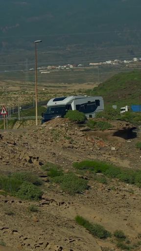 A Group of French Parthouzés in Nature